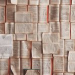 De acuerdo al canon literario esto es literatura